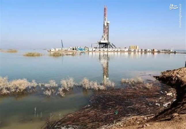 ظرفیت تالاب هورالعظیم برای گسترش فعالیت‌های شرکت‌های نفت و گاز مشخص شود