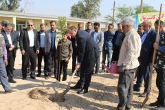 نیشکر در مسیر خوزستانی سرسبز؛ کاشت بیش از یک میلیون نهال اکالیپتوس در سه سال گذشته