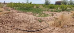 پیمایش خانه به خانه انشعابات آب غیرمجاز در روستاهای شهرستان انار